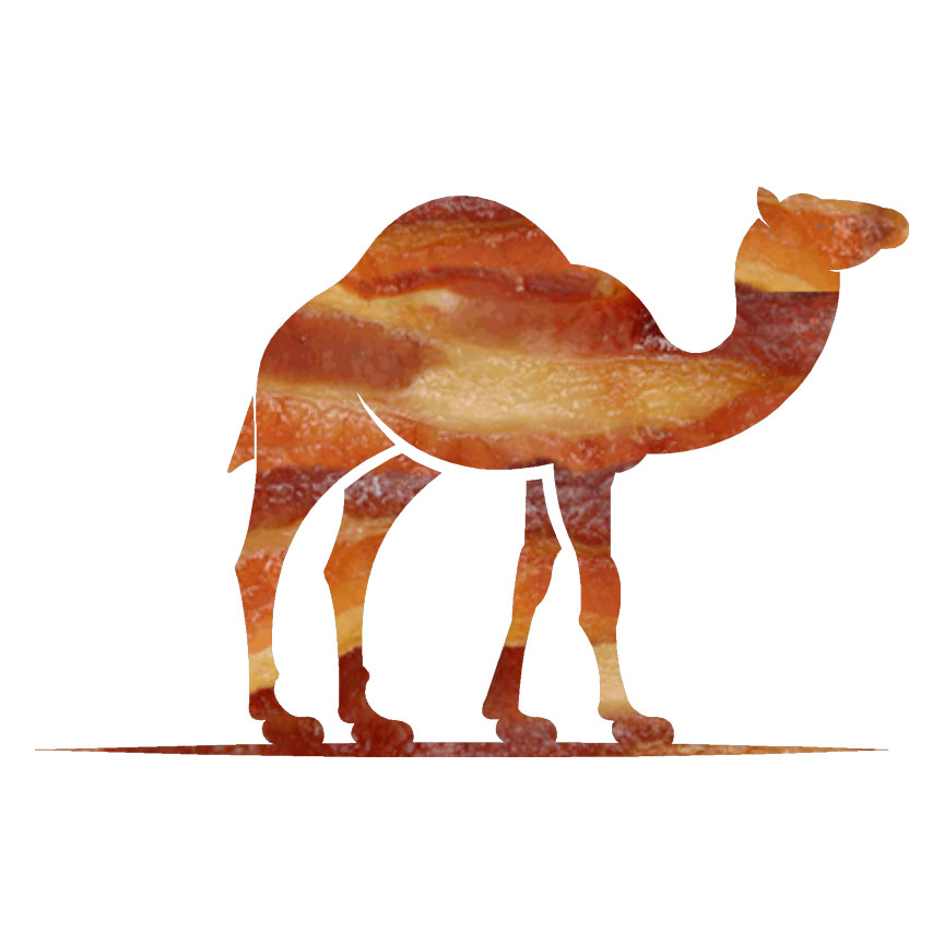 Camel, Vinyl Decal Sticker, 40 Patterns & 3 Sizes, #6618 | eBay